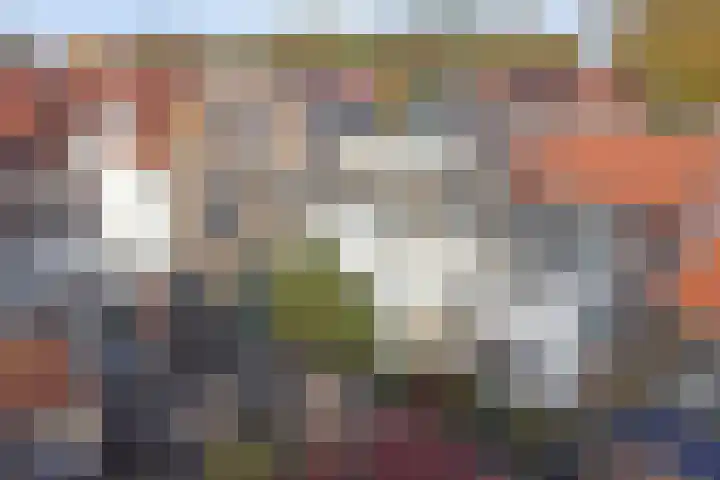 Dordtsestraat 17 Geertruidenberg thumbnail 6