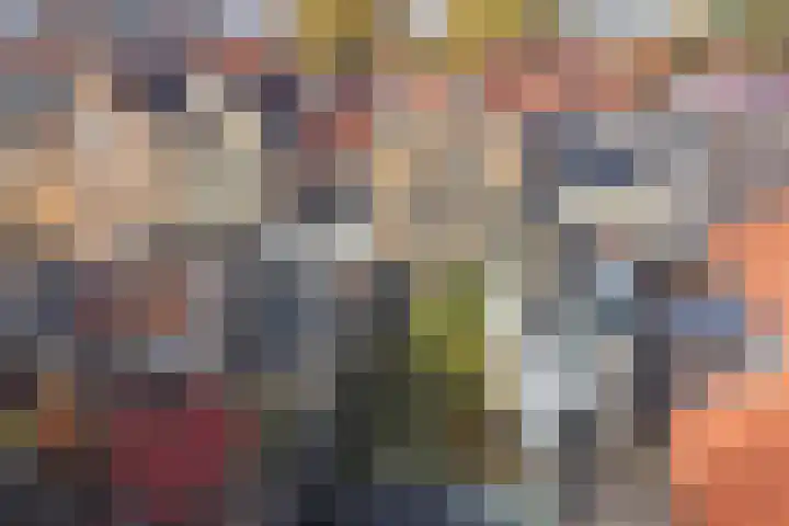 Dordtsestraat 17 Geertruidenberg thumbnail 7