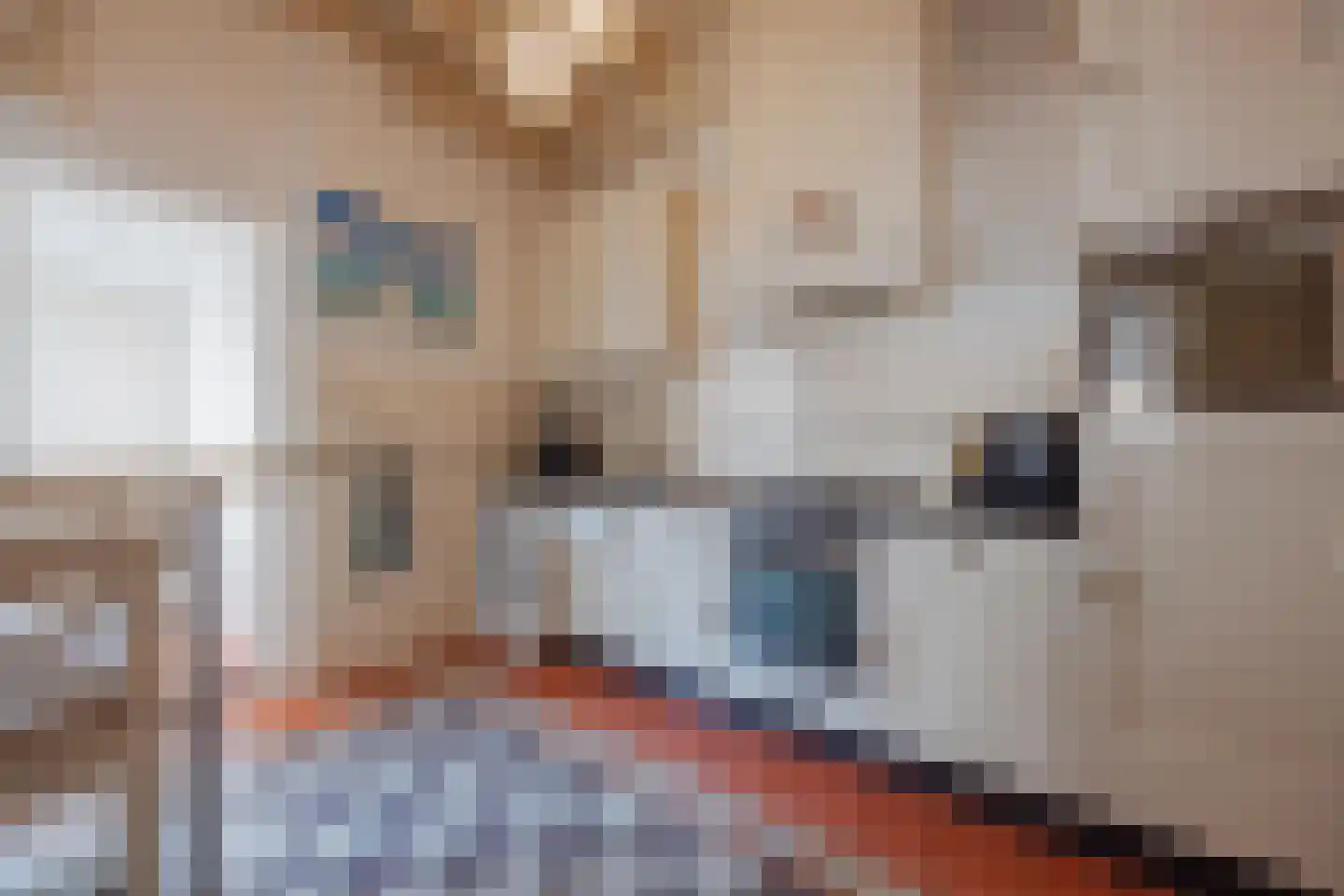 Dordtsestraat 19 Geertruidenberg thumbnail 18