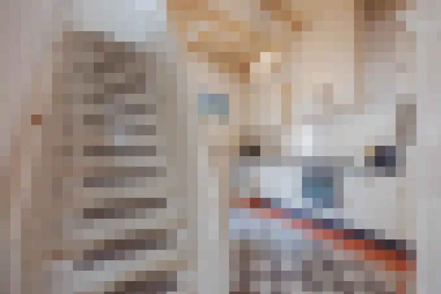 Dordtsestraat 19 Geertruidenberg thumbnail 20