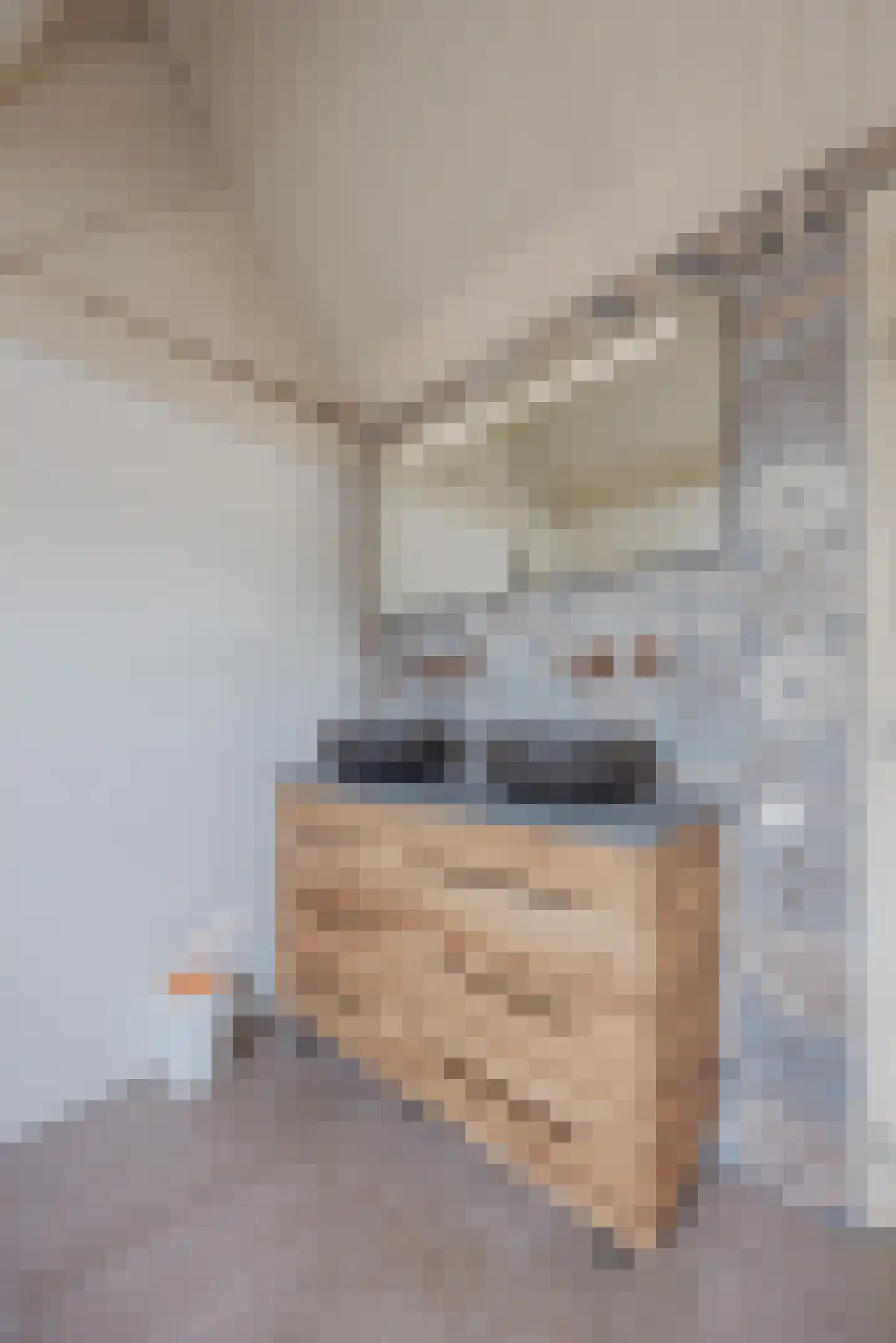 Dordtsestraat 19 Geertruidenberg thumbnail 35