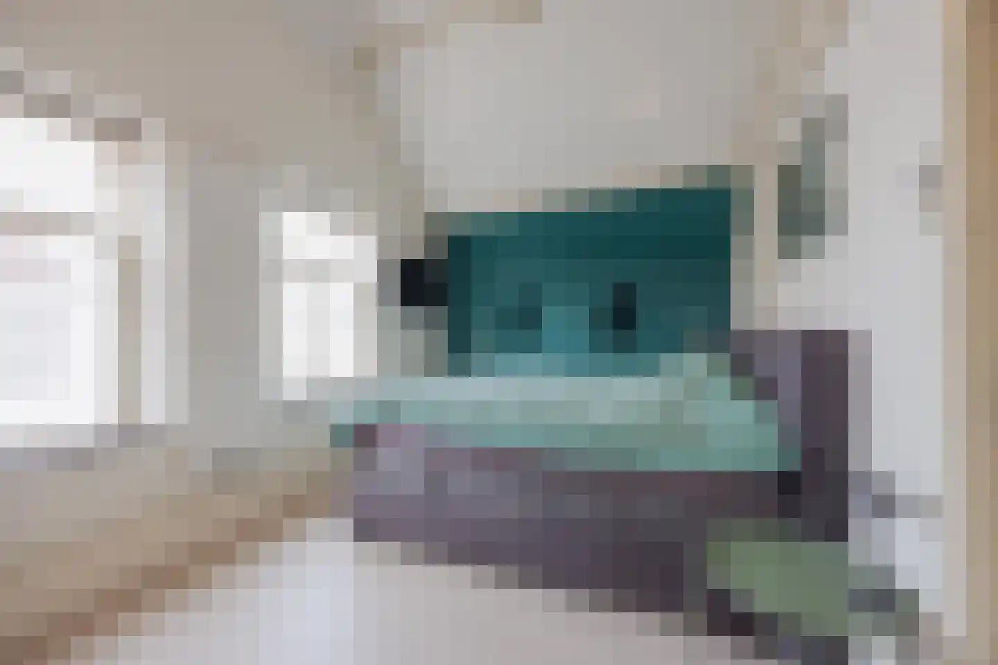 Dordtsestraat 19 Geertruidenberg thumbnail 37