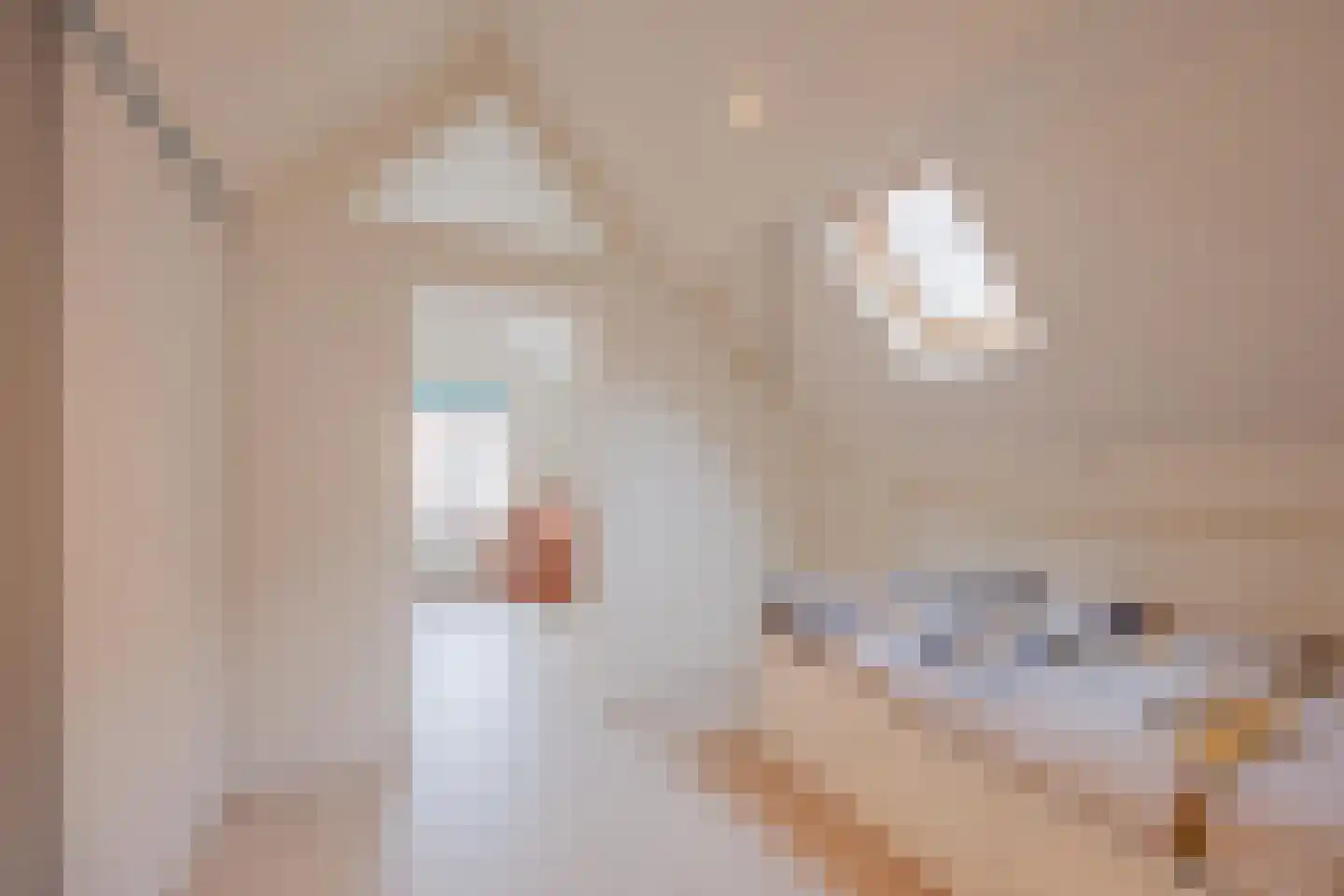 Dordtsestraat 19 Geertruidenberg thumbnail 39