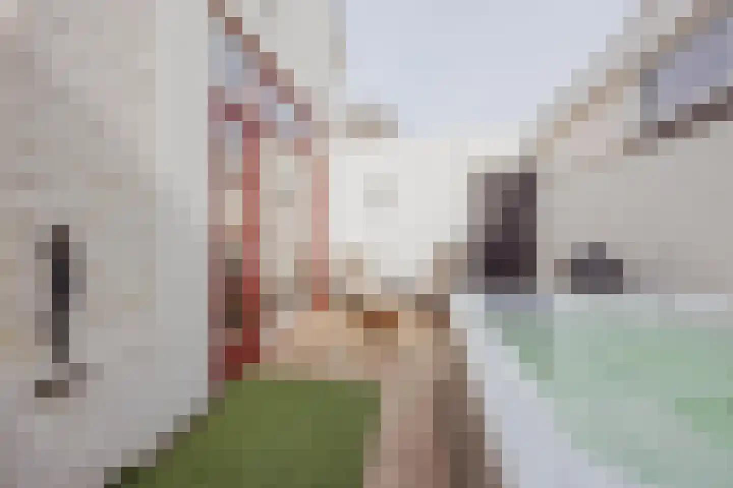 Dordtsestraat 19 Geertruidenberg thumbnail 45