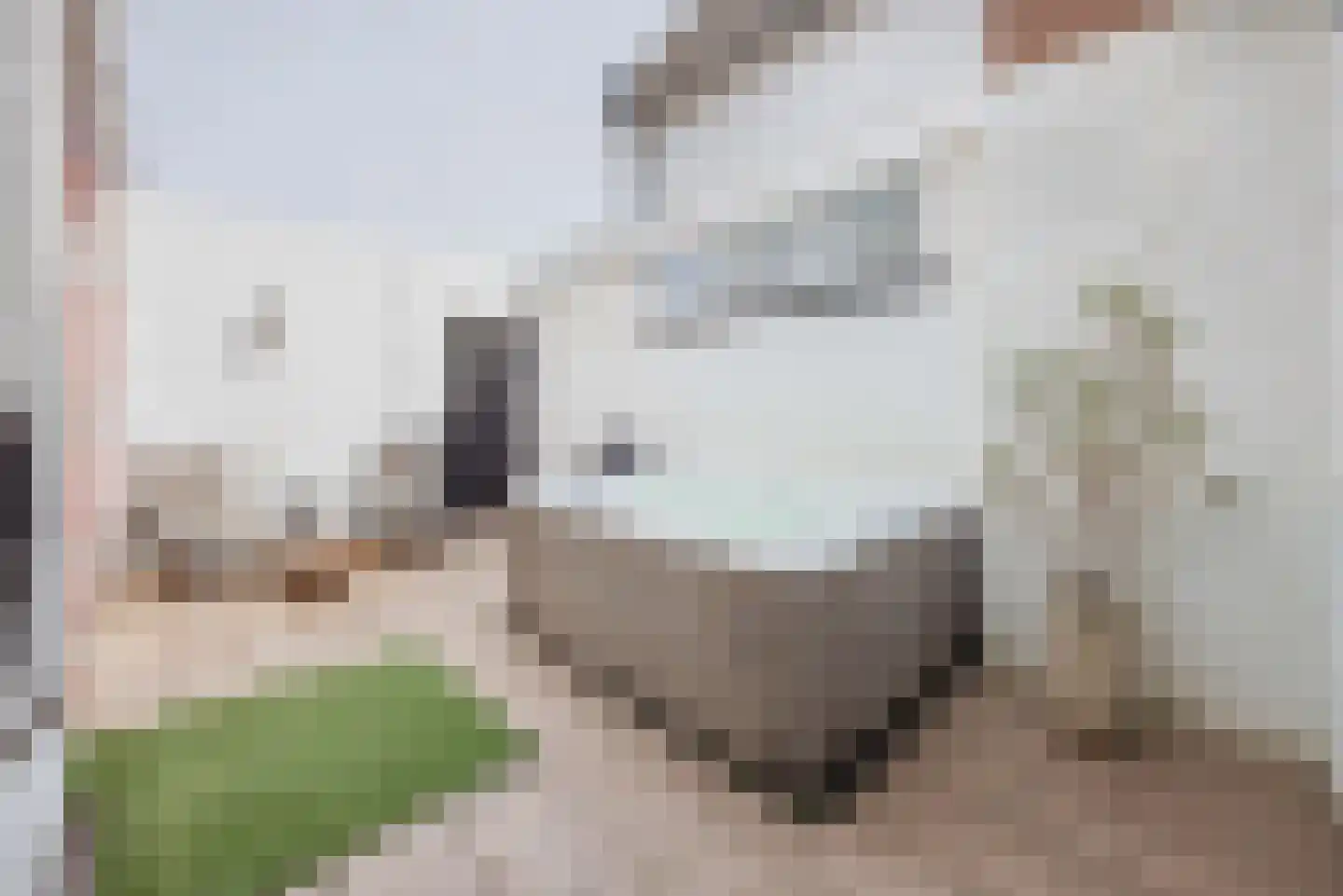 Dordtsestraat 19 Geertruidenberg thumbnail 46