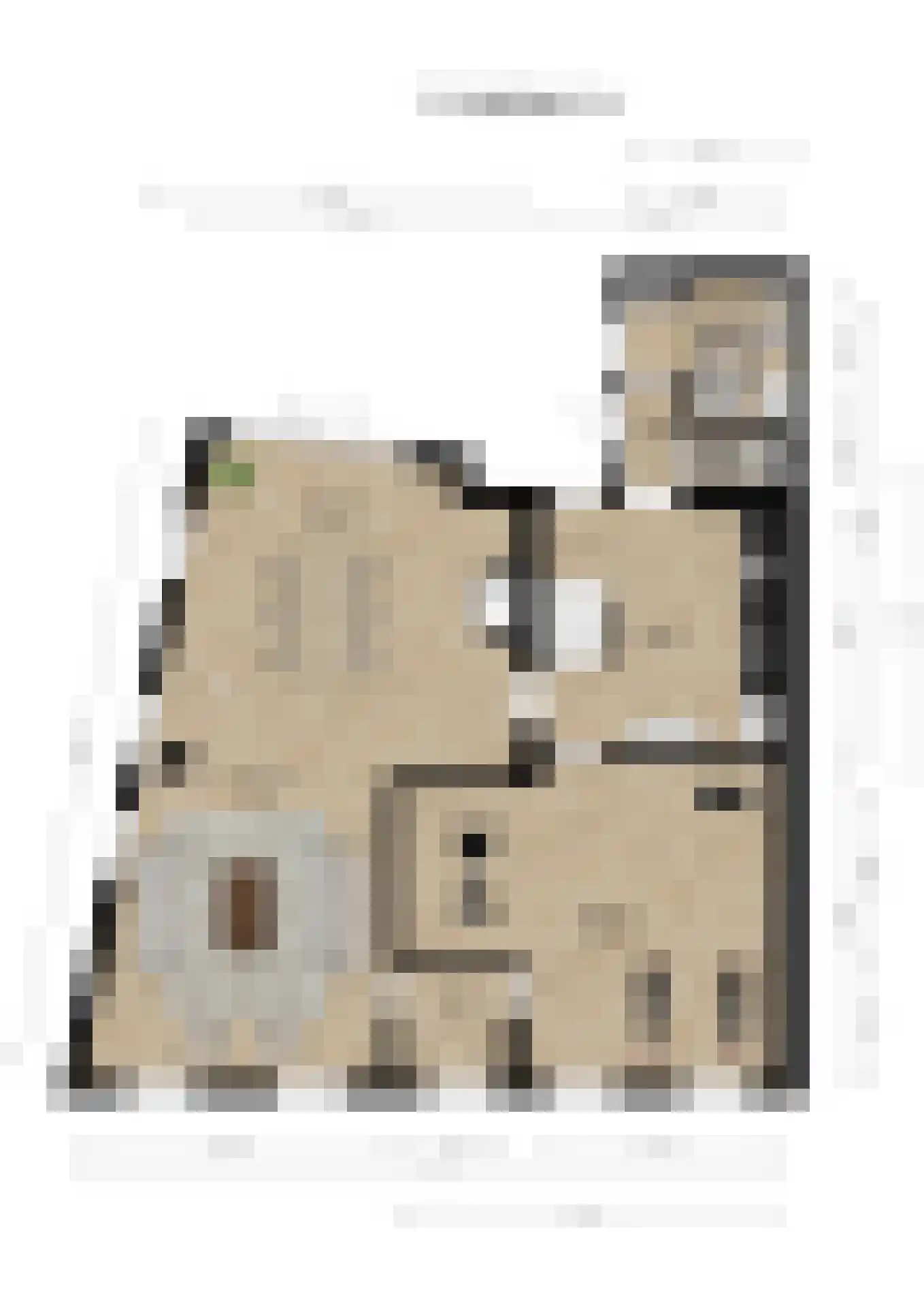 Dordtsestraat 19 Geertruidenberg thumbnail 48