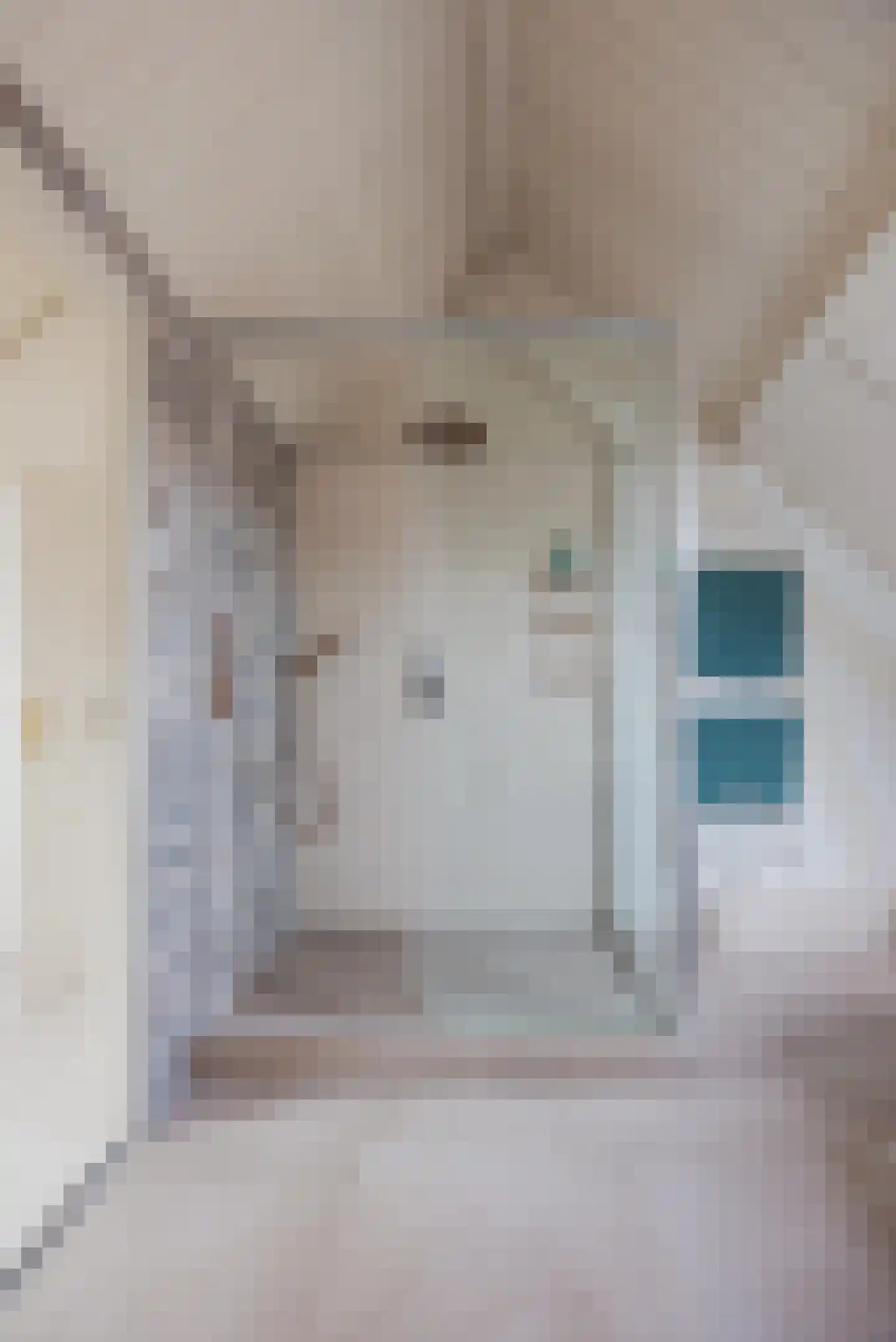 Dordtsestraat 19 Geertruidenberg thumbnail 5