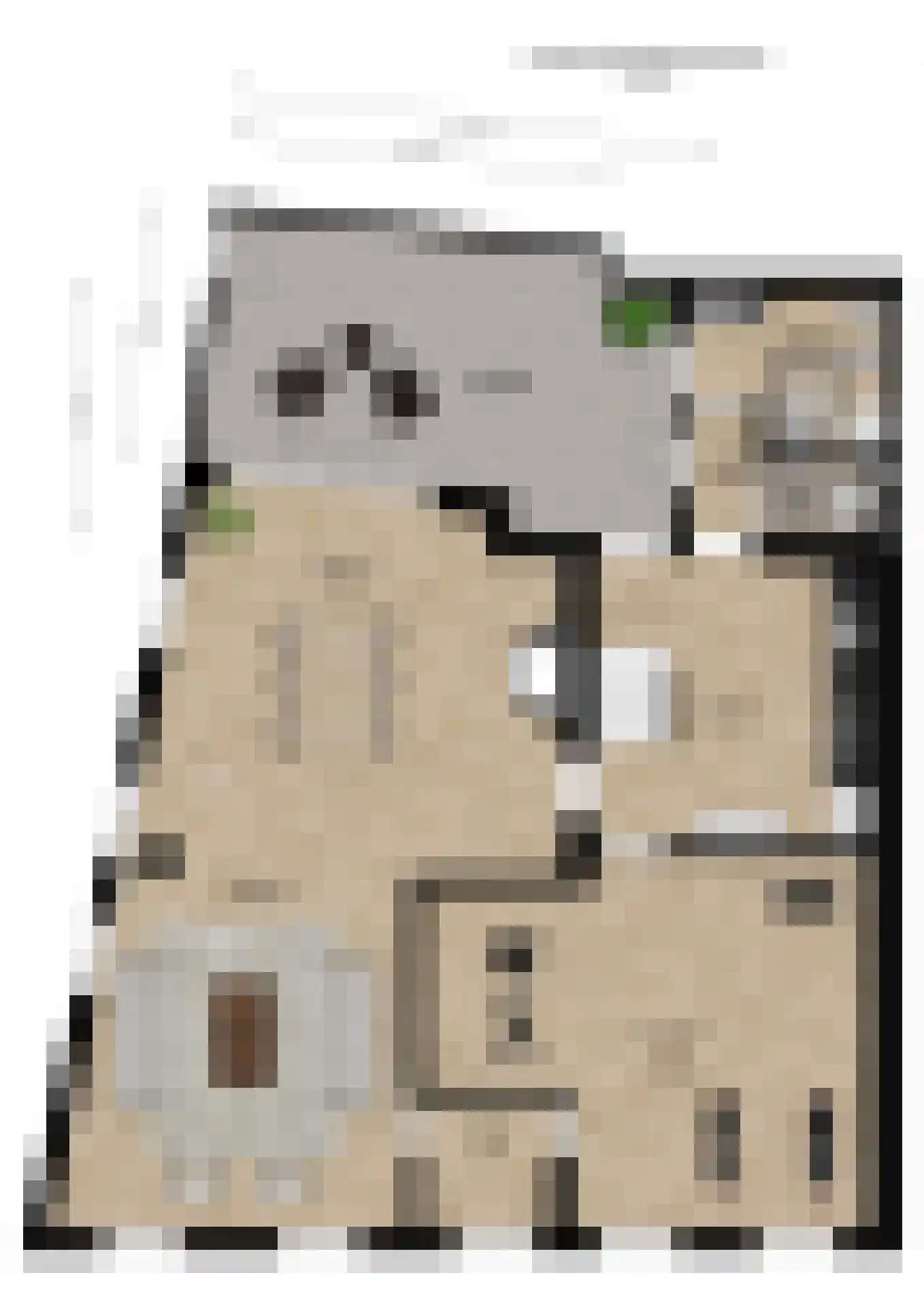 Dordtsestraat 19 Geertruidenberg thumbnail 51