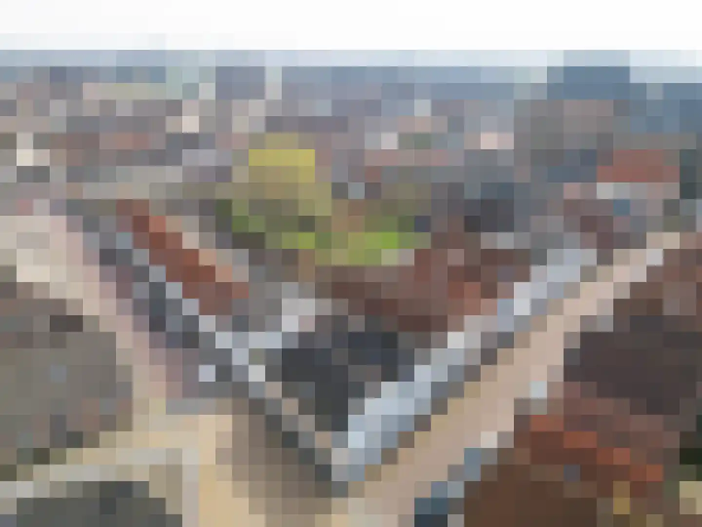 Dordtsestraat 19 Geertruidenberg thumbnail 6