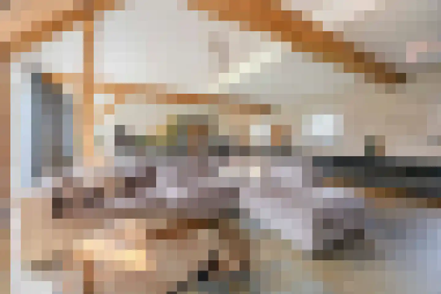 Doreleijersweg 1 Boxtel thumbnail 10