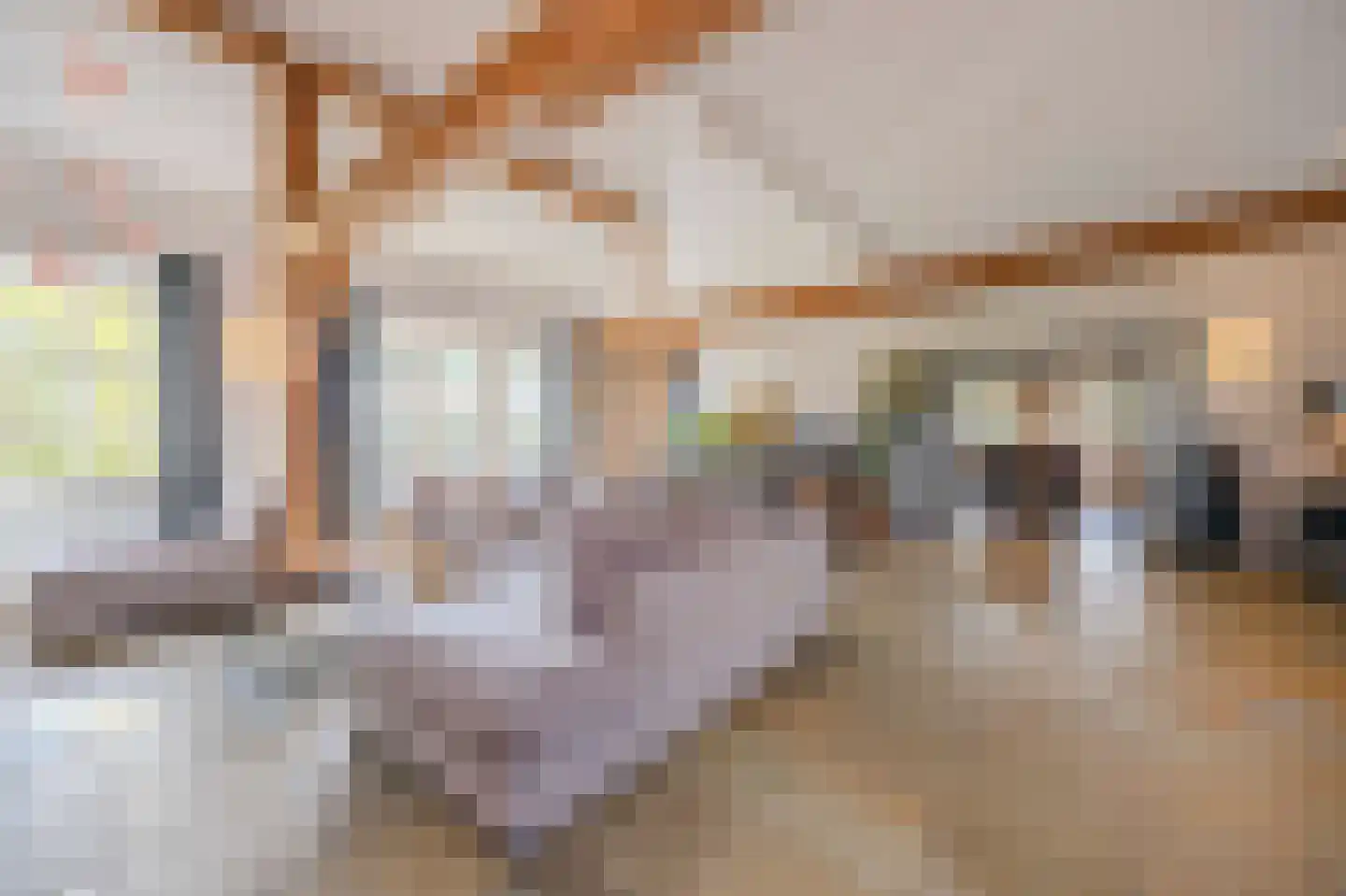 Doreleijersweg 1 Boxtel thumbnail 11