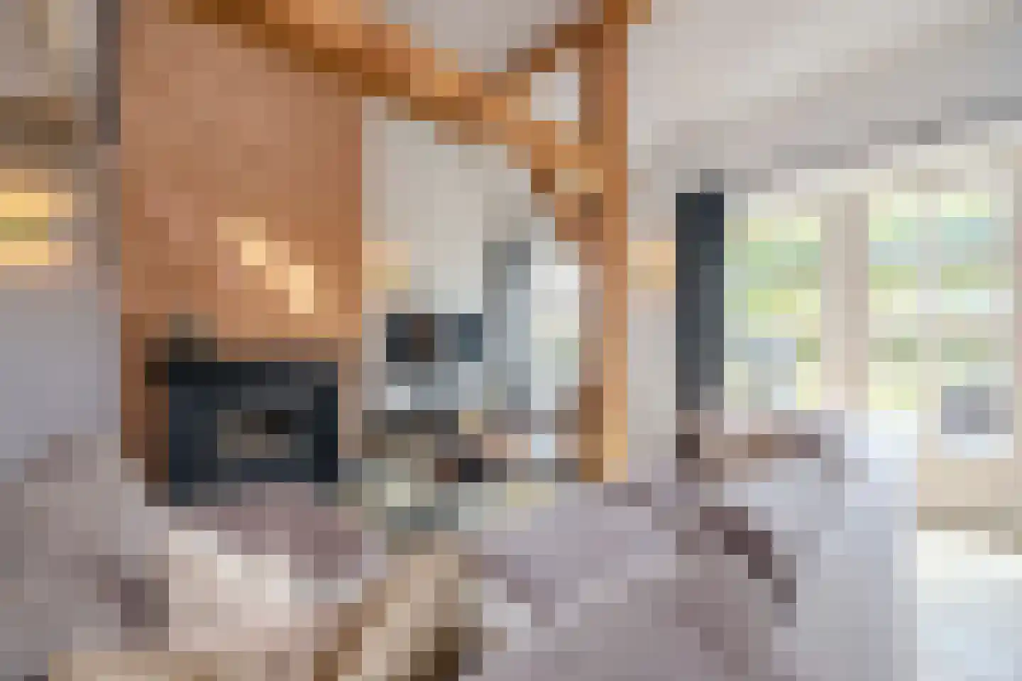Doreleijersweg 1 Boxtel thumbnail 12