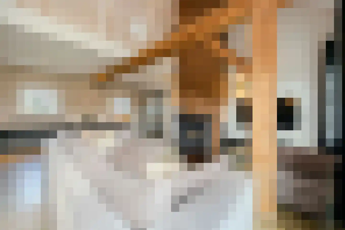 Doreleijersweg 1 Boxtel thumbnail 13