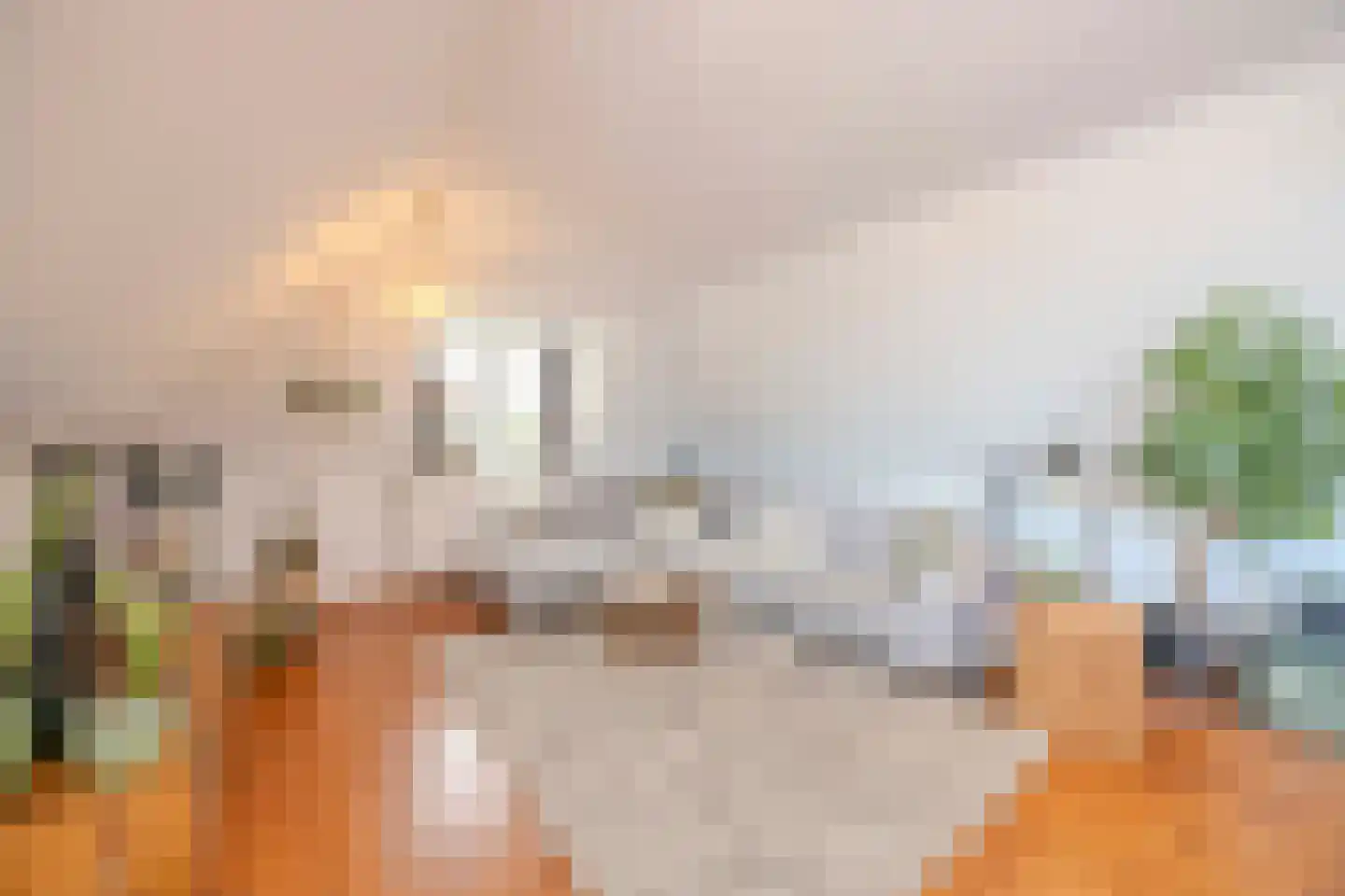 Doreleijersweg 1 Boxtel thumbnail 47