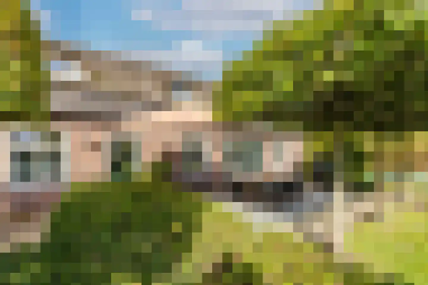Doreleijersweg 1 Boxtel thumbnail 51