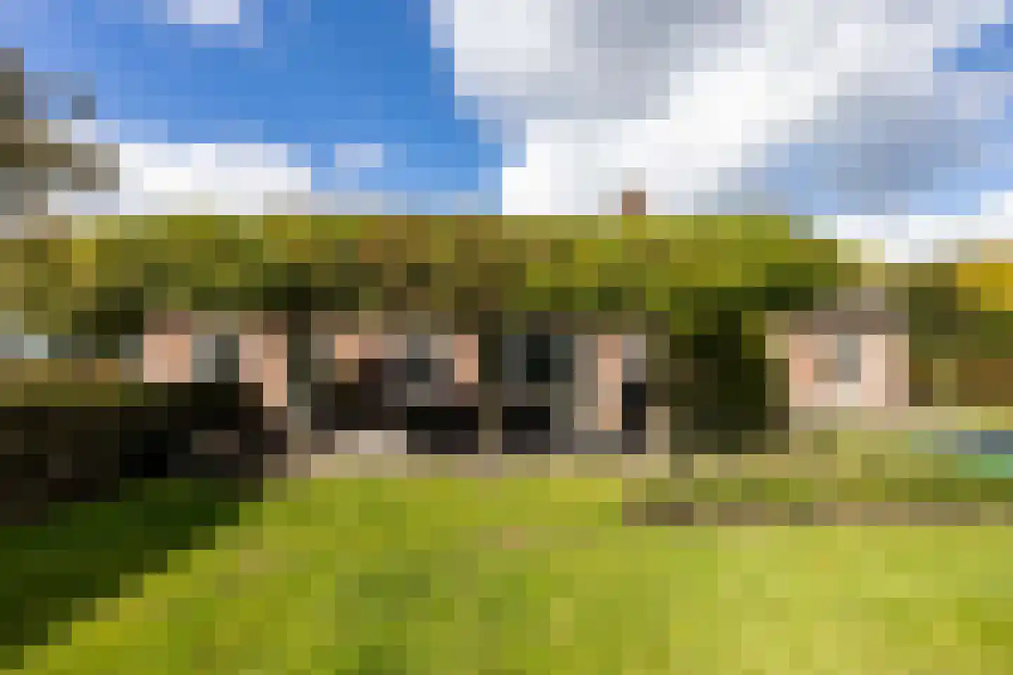 Doreleijersweg 1 Boxtel thumbnail 55