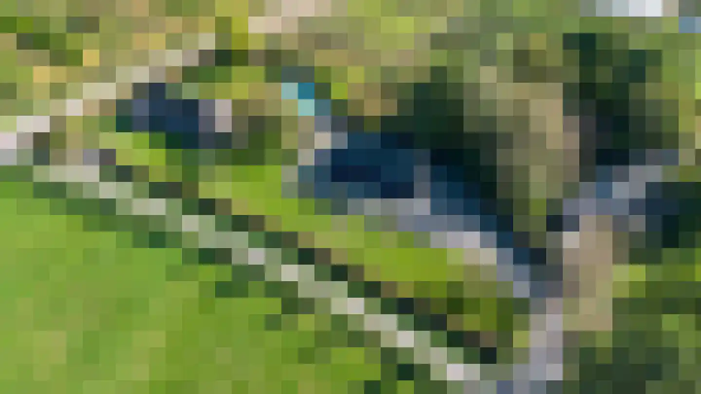 Doreleijersweg 1 Boxtel thumbnail 6