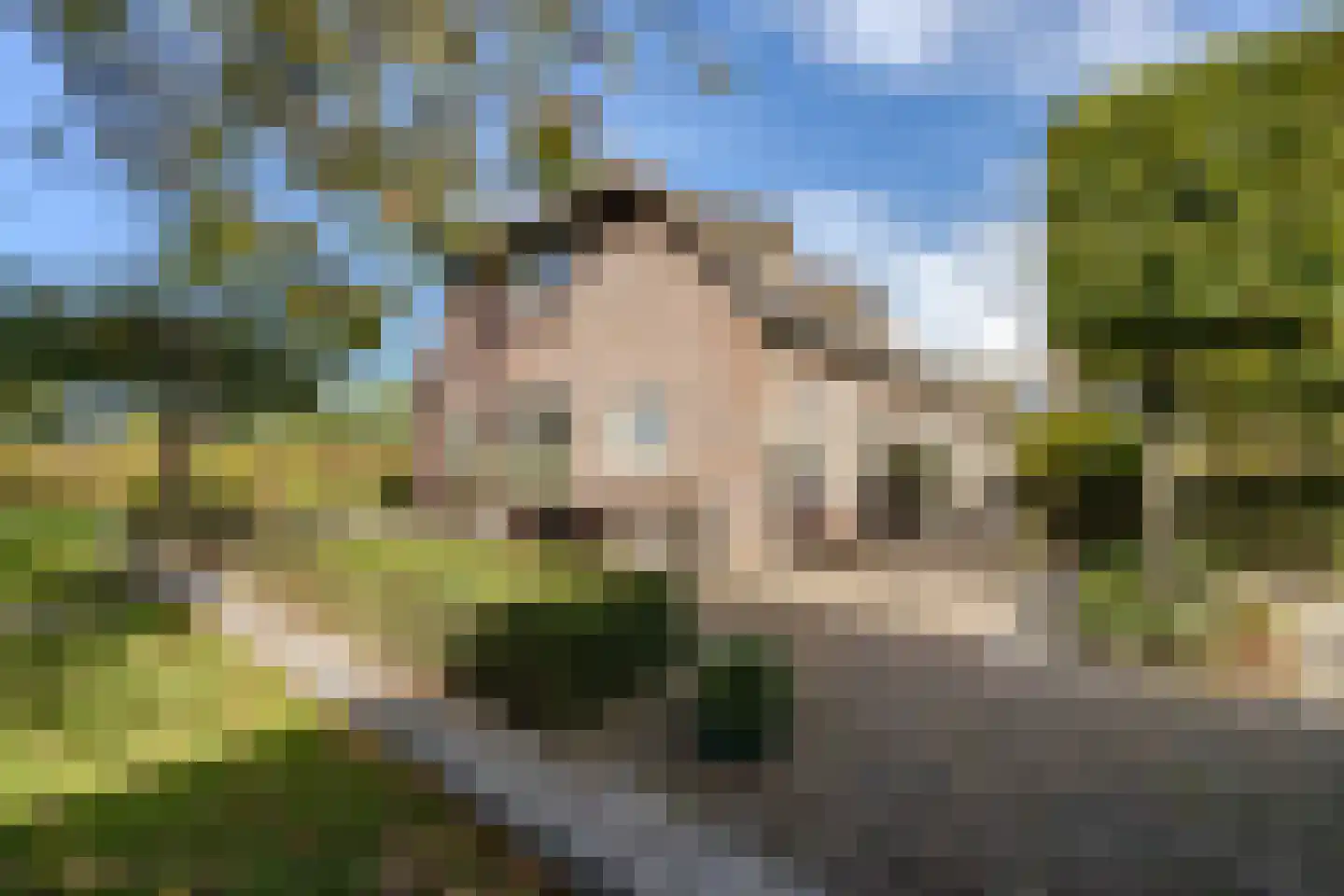 Doreleijersweg 1 Boxtel thumbnail 62