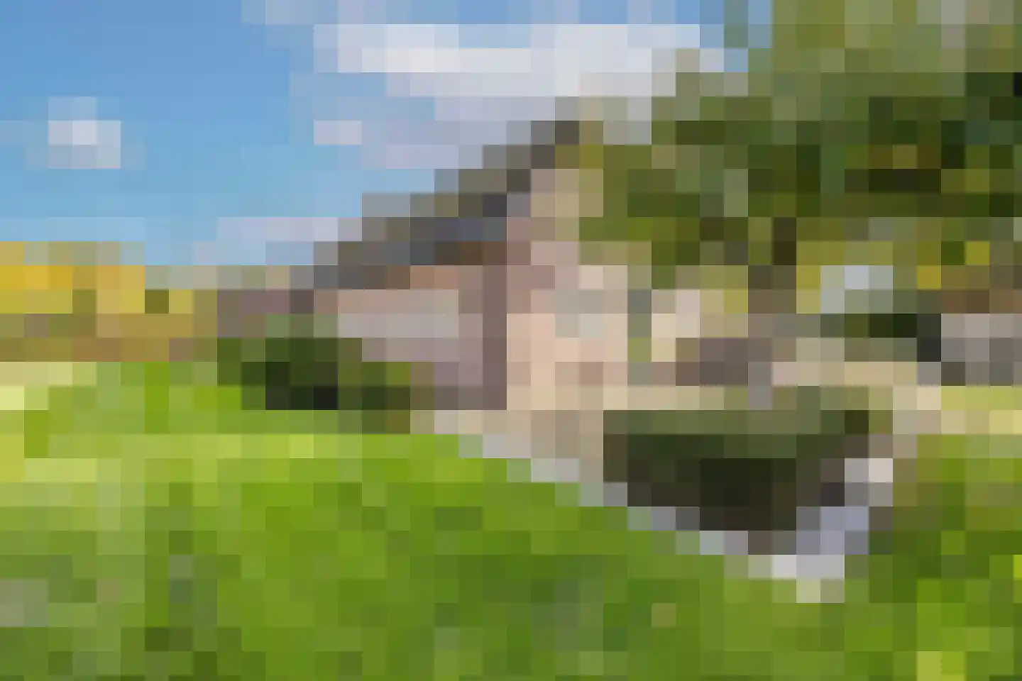 Doreleijersweg 1 Boxtel thumbnail 63