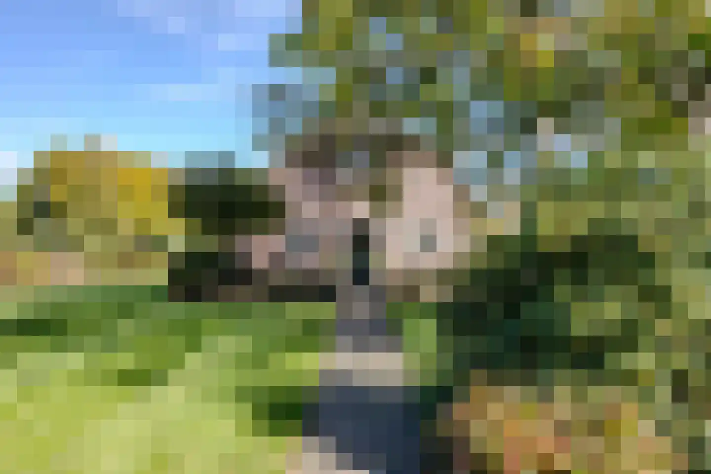 Doreleijersweg 1 Boxtel thumbnail 7