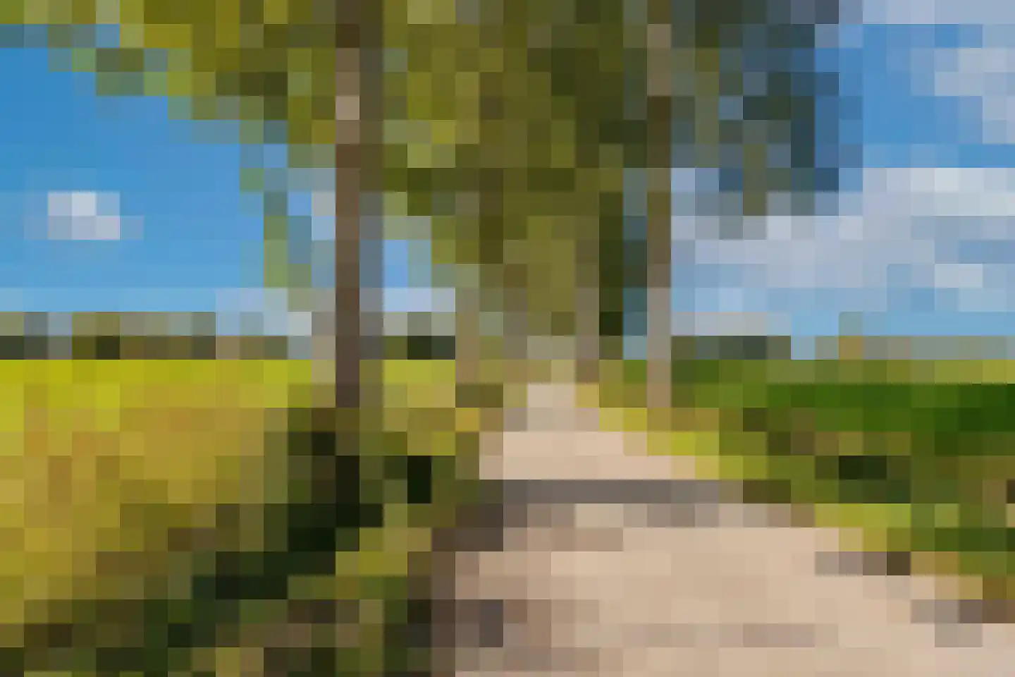 Doreleijersweg 1 Boxtel thumbnail 79