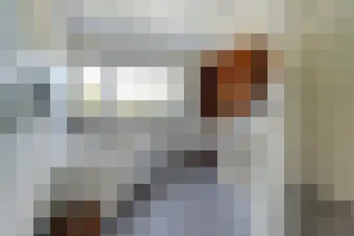 Dorenbos 33 Alphen thumbnail 32