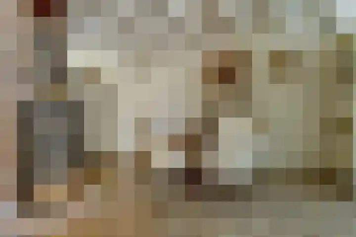 Dorenbos 33 Alphen thumbnail 4