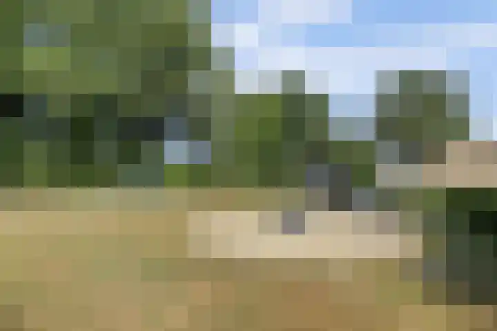 Dorenbos 33 Alphen thumbnail 42