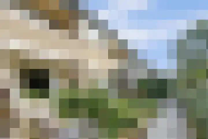 Dorenbos 33 Alphen thumbnail 43