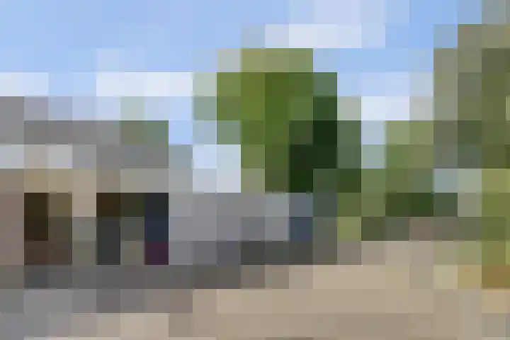 Dorenbos 33 Alphen thumbnail 8