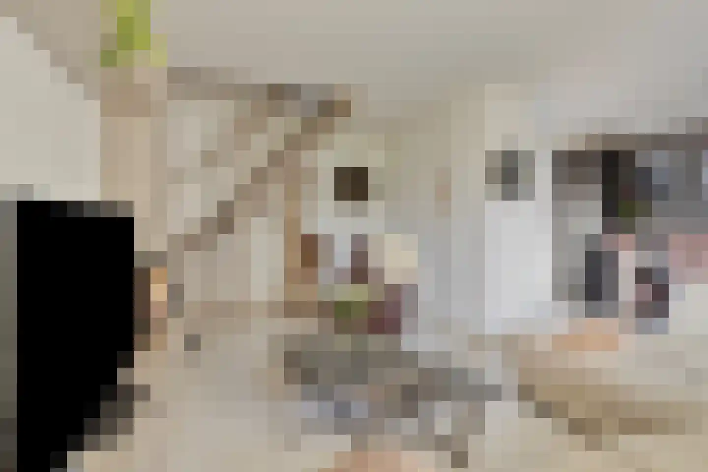 Dorenbos 7 Alphen thumbnail 18