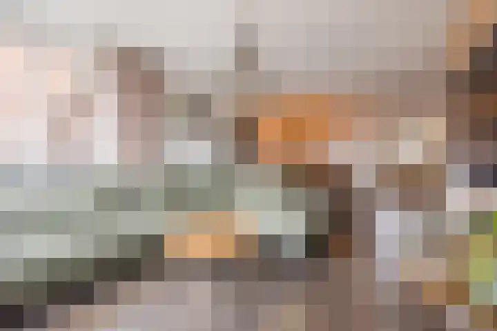 Dorestede 42 Zegge thumbnail 15