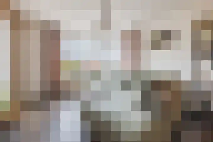 Dorestede 42 Zegge thumbnail 16