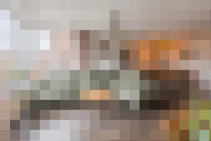 Dorestede 42 Zegge thumbnail 18