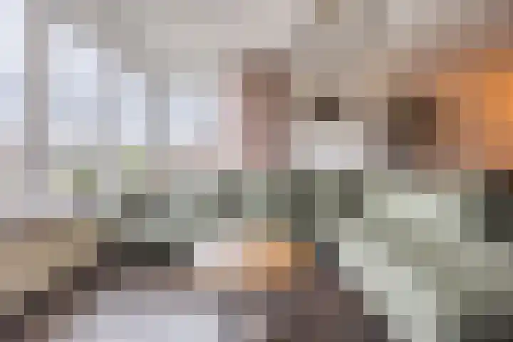 Dorestede 42 Zegge thumbnail 19