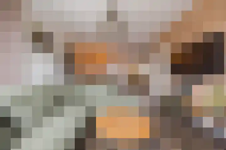 Dorestede 42 Zegge thumbnail 20