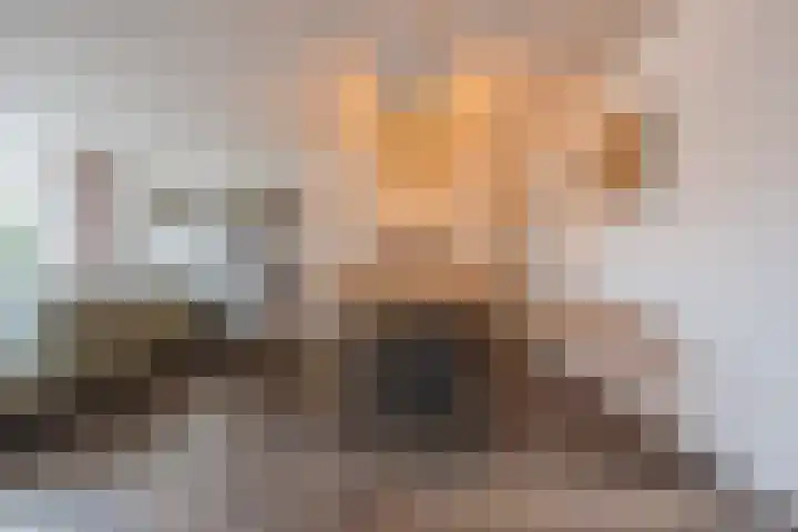 Dorestede 42 Zegge thumbnail 22