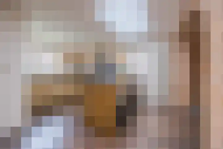 Dorestede 42 Zegge thumbnail 25