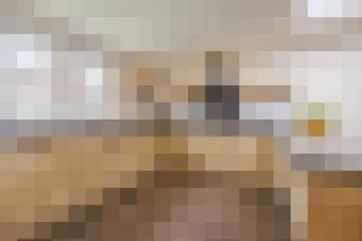 Dorestede 42 Zegge thumbnail 26