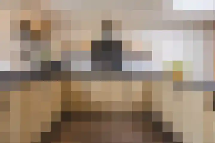 Dorestede 42 Zegge thumbnail 27