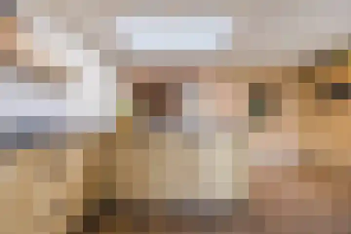 Dorestede 42 Zegge thumbnail 28