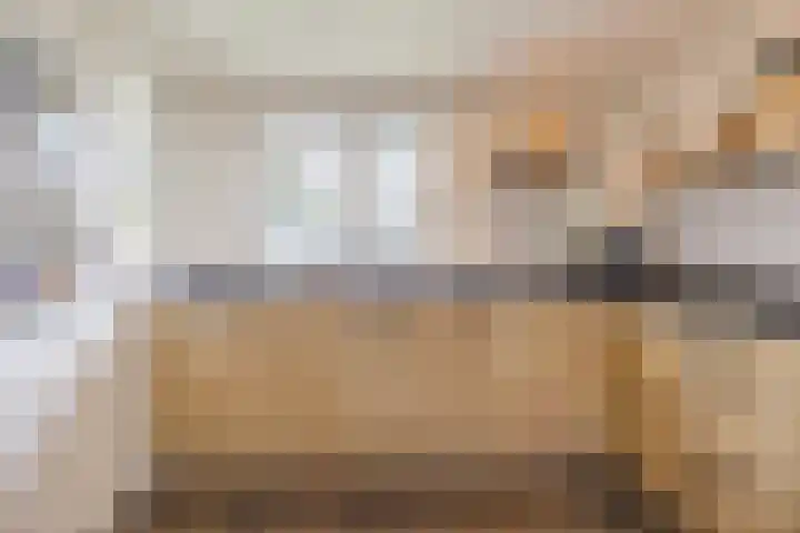 Dorestede 42 Zegge thumbnail 29