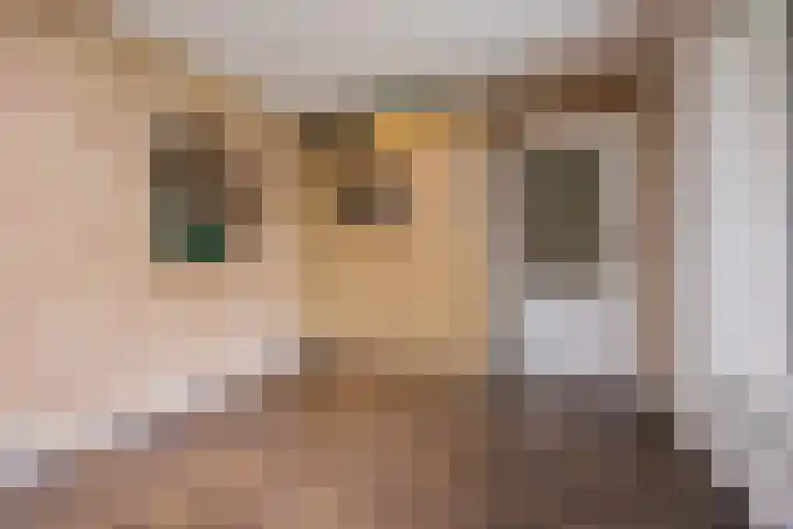 Dorestede 42 Zegge thumbnail 30