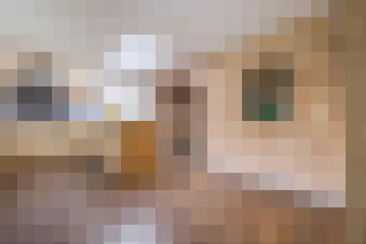 Dorestede 42 Zegge thumbnail 33