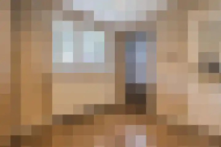 Dorestede 42 Zegge thumbnail 34