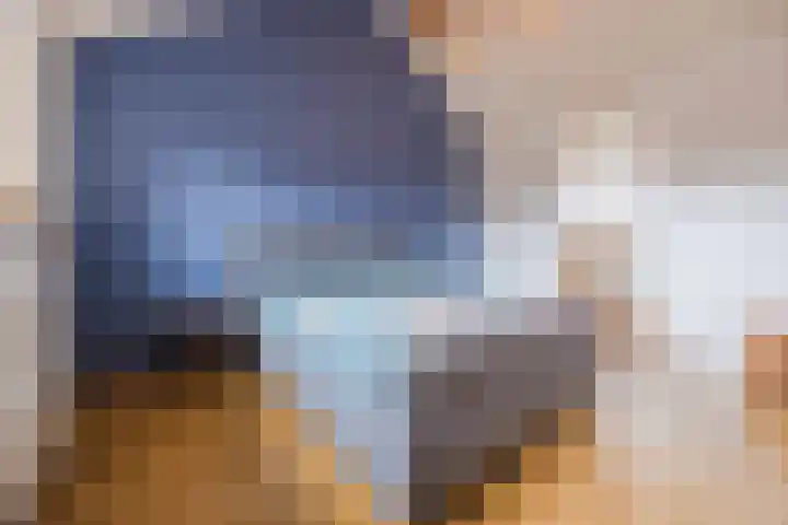 Dorestede 42 Zegge thumbnail 41