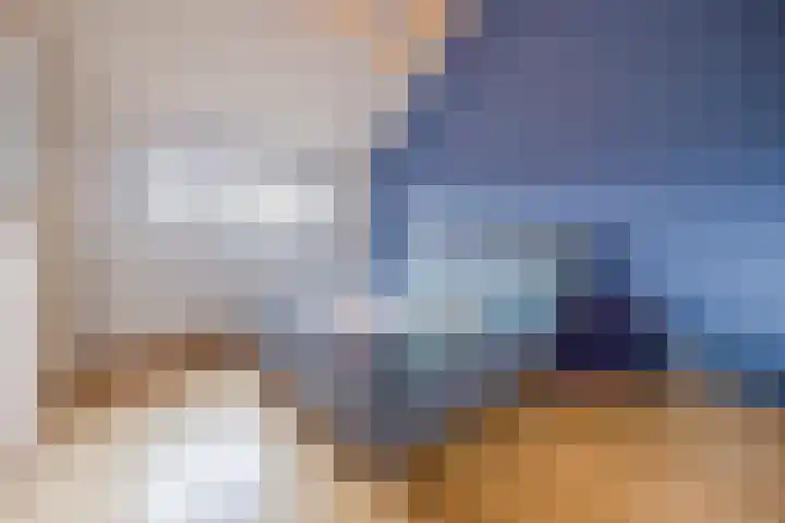 Dorestede 42 Zegge thumbnail 42