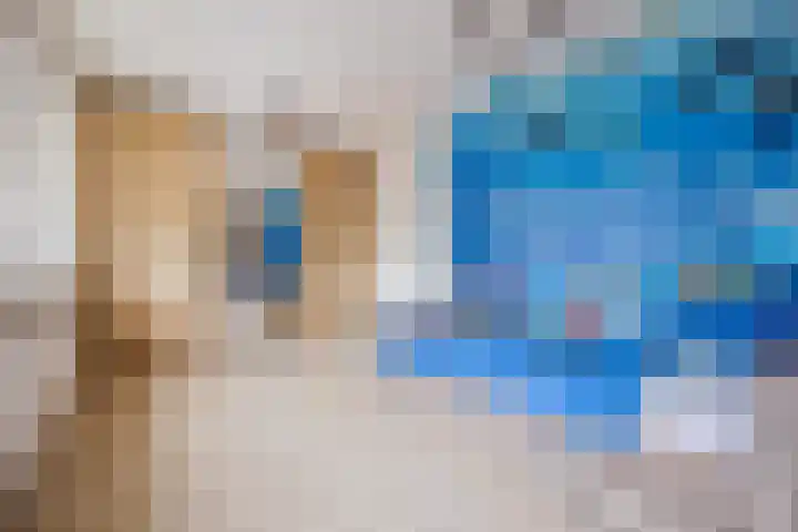 Dorestede 42 Zegge thumbnail 48