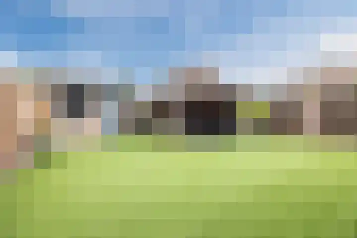 Dorestede 42 Zegge thumbnail 5