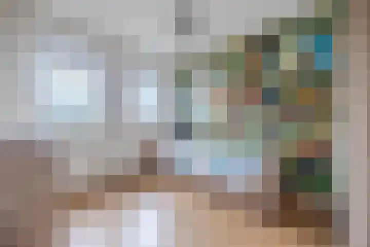 Dorestede 42 Zegge thumbnail 50